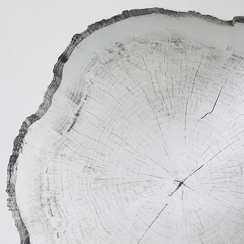 close up of deknudt mirror with printed tree rings on surface
