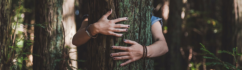 biophilic design - hands hugging a tree in a forest love of nature