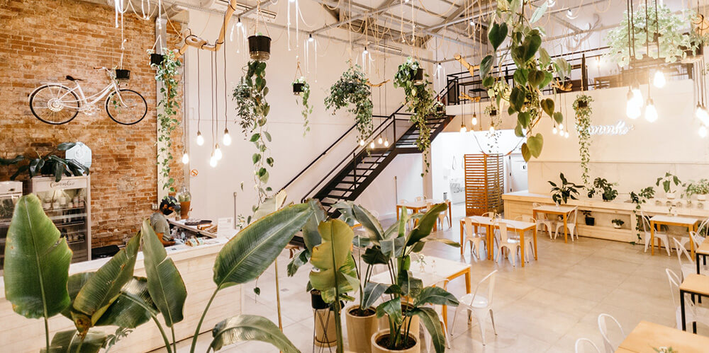 biophilic design - hanging plants in a restaurant