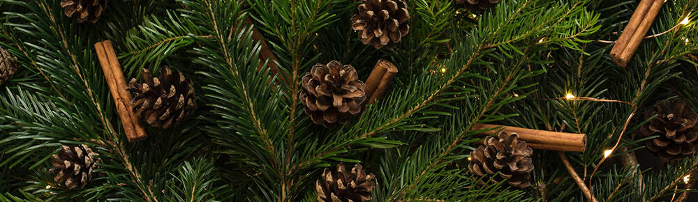 how to decorate a mirror at Christmas - green pine foliage with pine cones and cinnamonsticks