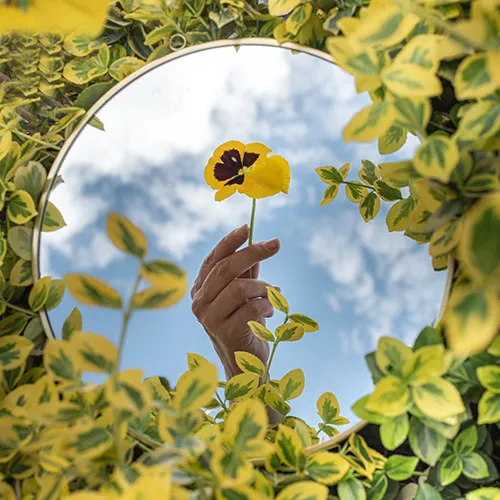 circular mirror sitting amongs leaves reflecting hand holding pansy flower