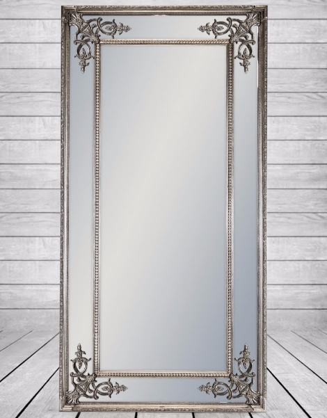 Tall Silver Rectangle Crested French, Silver And Gold Mirror Frame
